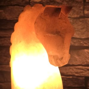 Horse shape lamp